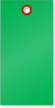 Green Tyvek Shipping Tags