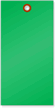 Green Tyvek Shipping Tags