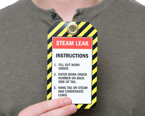 Steam Leak Tags