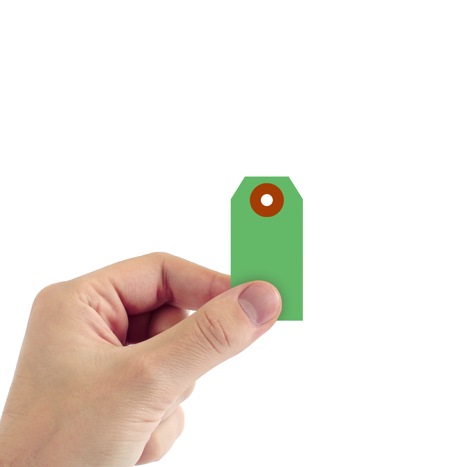 #1 (2¾ in. x 1-3/8 in.) Green Cardstock Tags