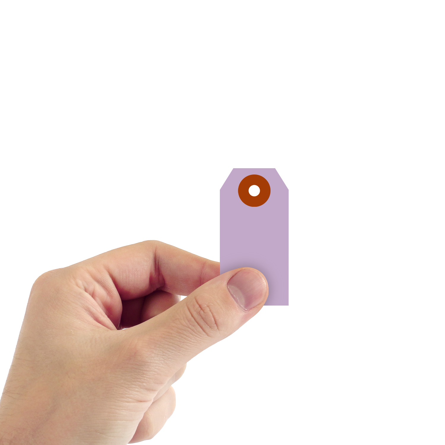 #1 (2¾ in. x 1-3/8 in. Lavender Cardstock Tags