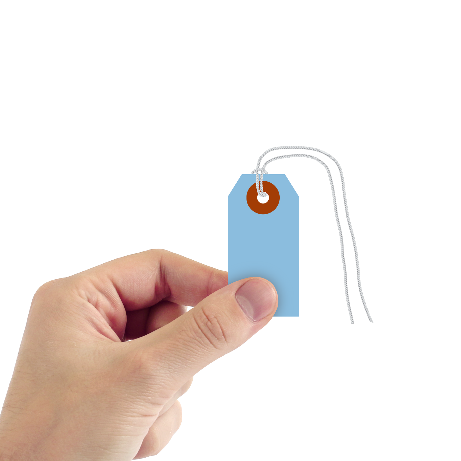 Dark Blue Cardstock Tags  (strings)