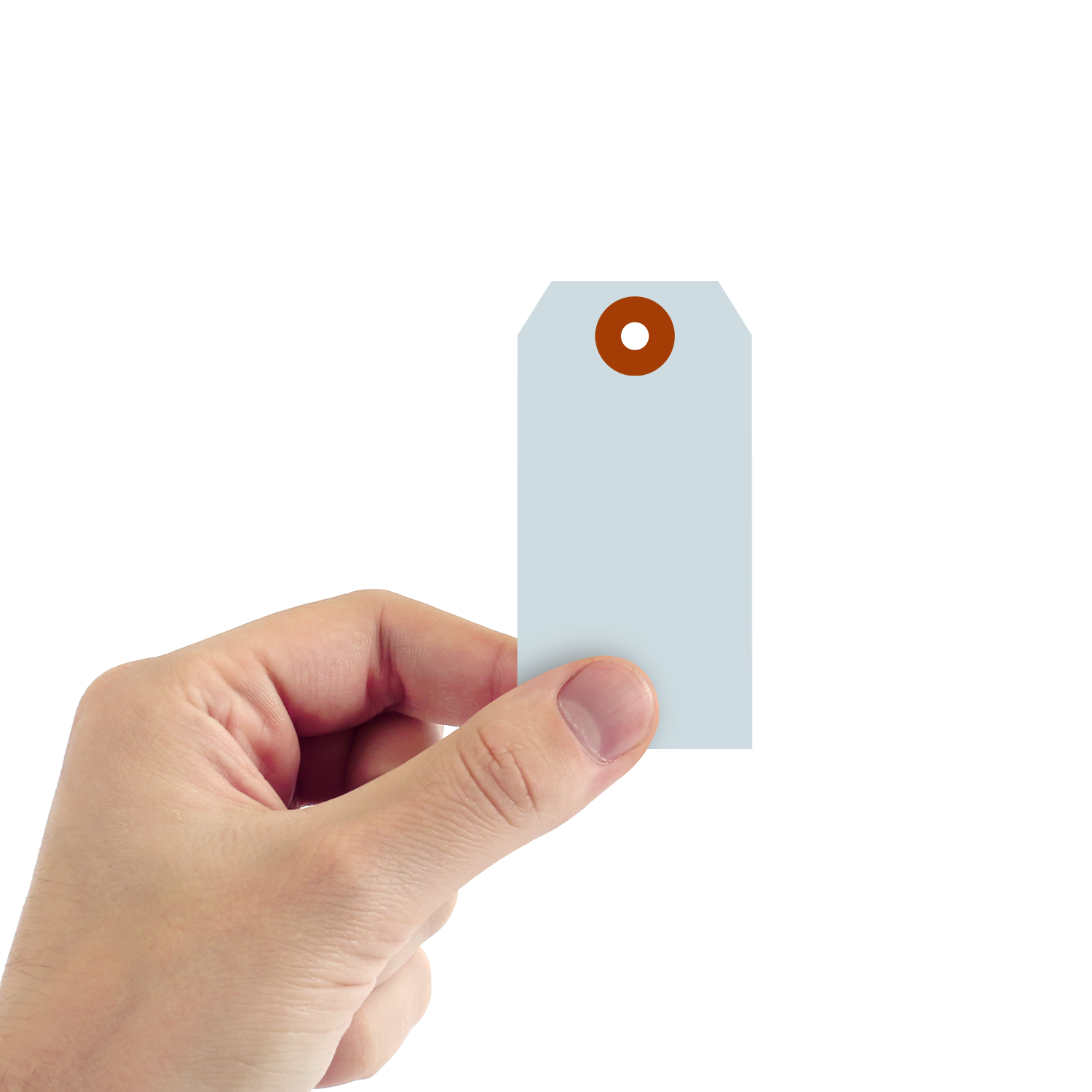 Light Blue Cardstock Tags