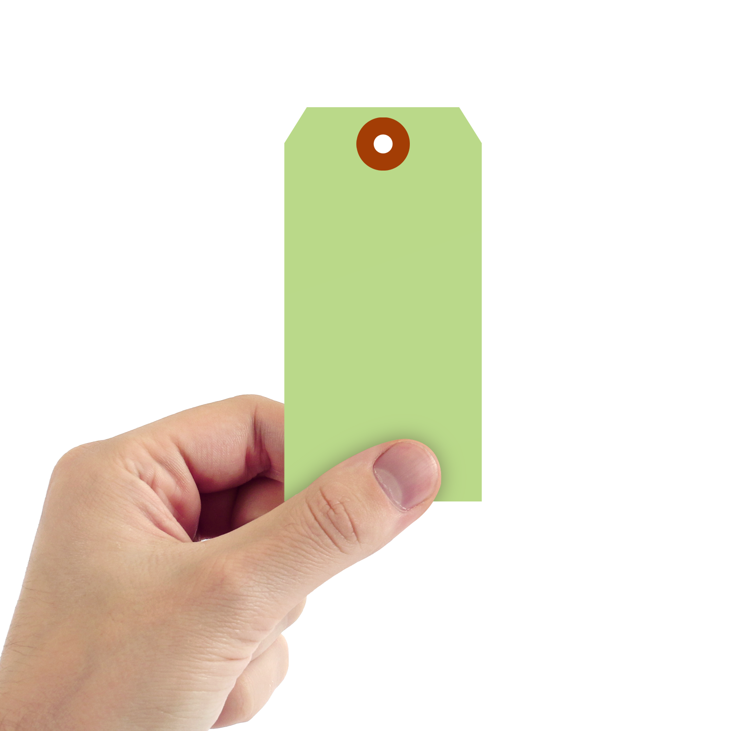Light Green Cardstock Tags