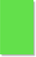 Fluorescent Green Color Coded Labels