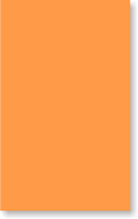 Fluorescent Orange Color Coded Labels