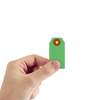 #1 (2¾ in. x 1-3/8 in.) Green Cardstock Tags