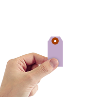 #1 (2¾ in. x 1-3/8 in. Lavender Cardstock Tags
