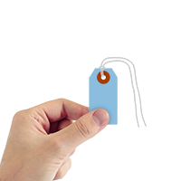 Dark Blue Cardstock Tags  (strings)