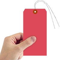 Red Cardstock Tags (with wires)