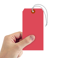 13-Pt Cardstock Shipping Tag Red 