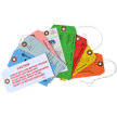 Custom Cardstock, Manifold and Tyvek Tags