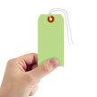 Light Green Cardstock Tag #5