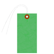 Green Tyvek Shipping Blank Tag With Wire And Eyelet