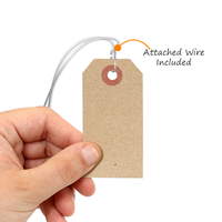 Blank Tag With Wire