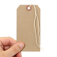 Blank Tag With String