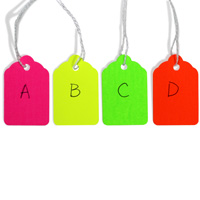 Assorted Fluorescent Tags with String