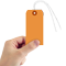 Orange Cardstock Tags (with wires)